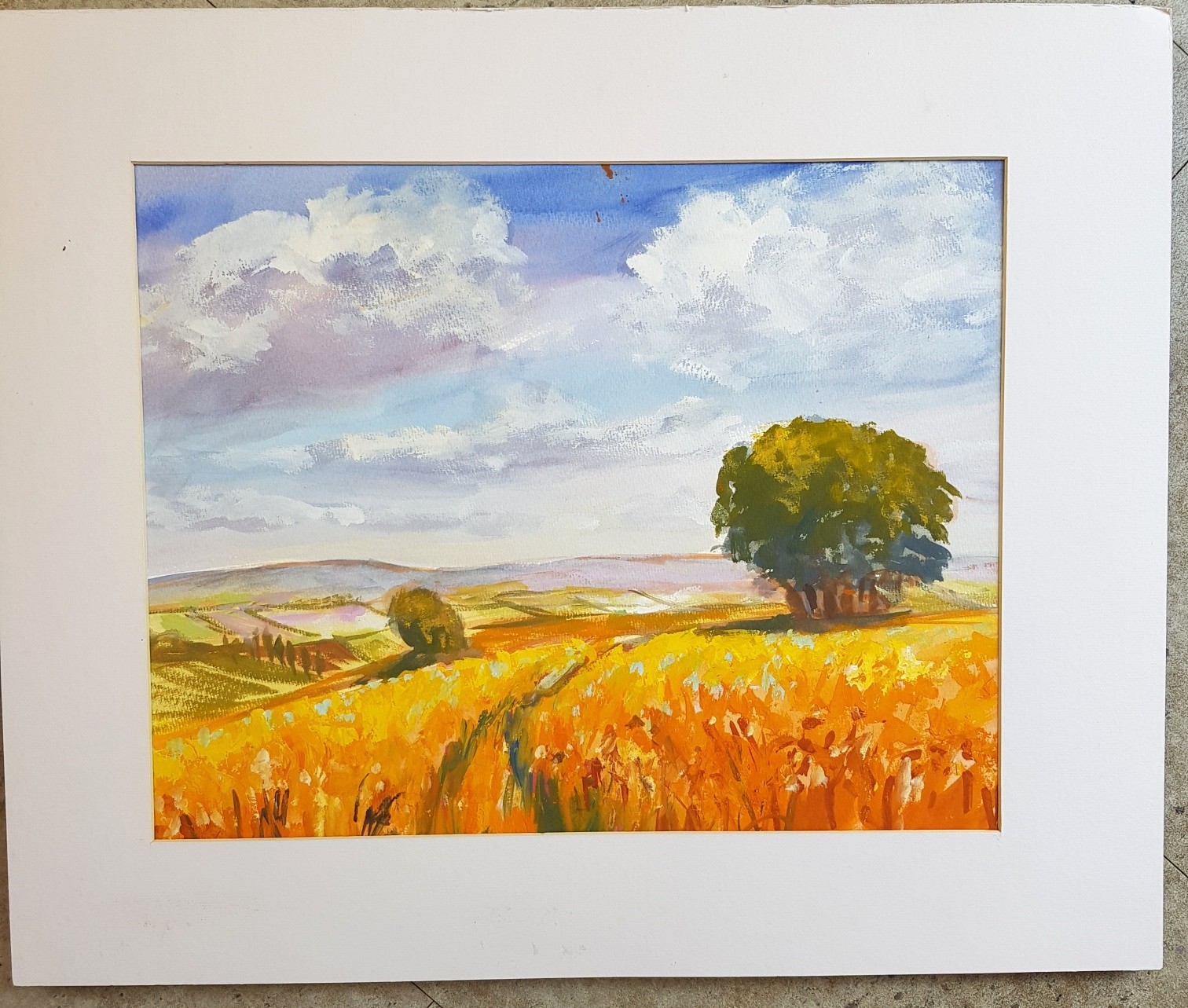 Adventures in Gouache, demonstration for Artlesford Art Society