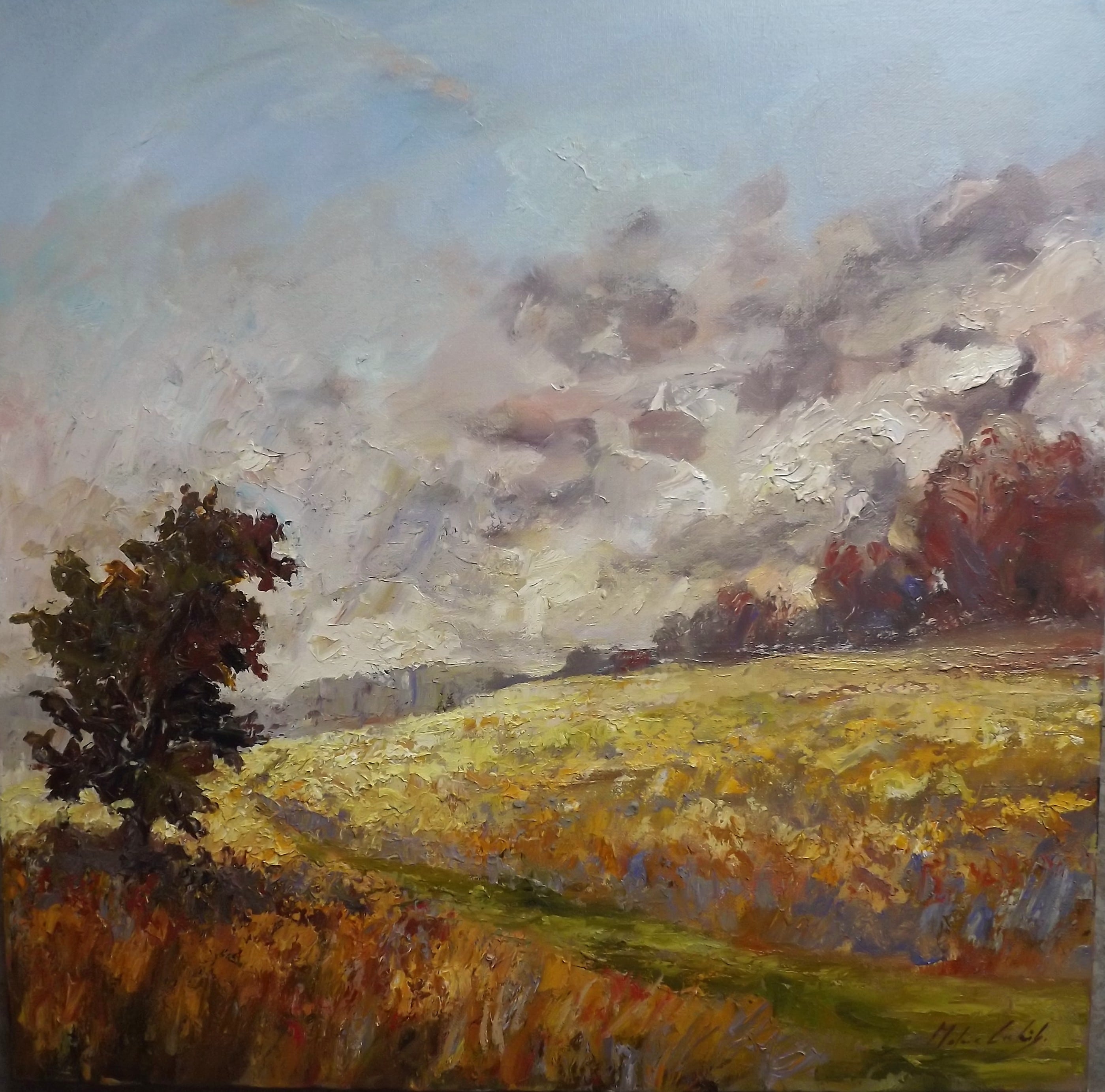 view of the meadows at sunset on Riddlesdown Common