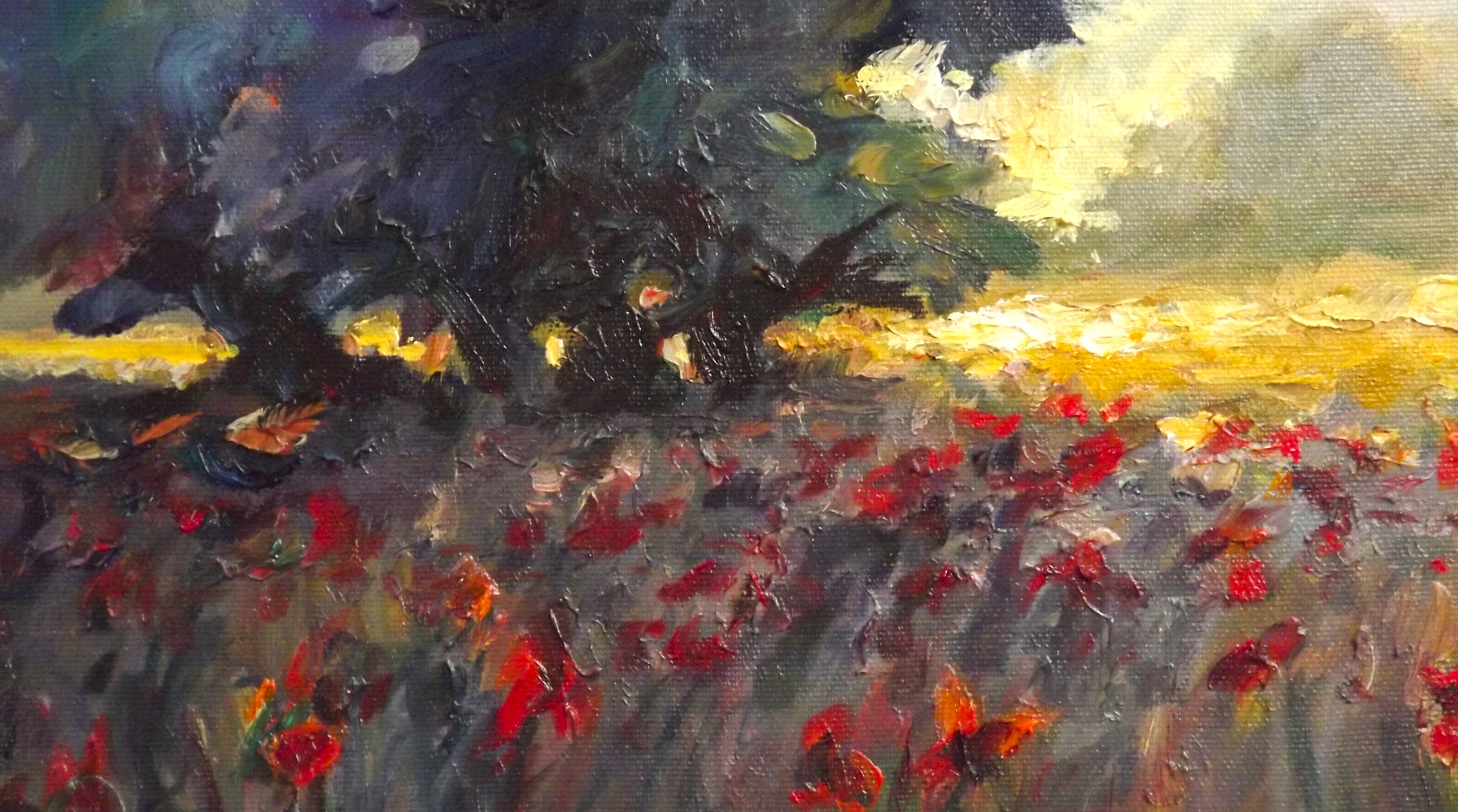 Dusk in the meadow